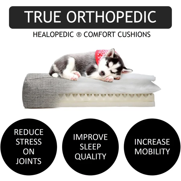 Club Nine Pets Metro Orthopedic Dog Bed - Medium, IVORY.