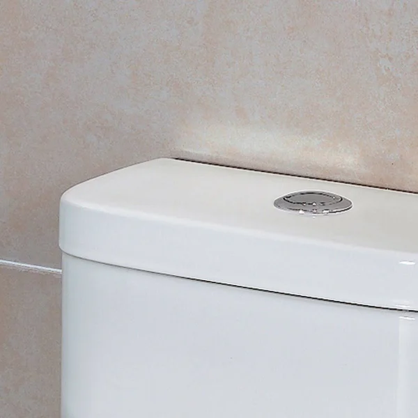 Ariel Platinum Tb346m &Adriana& Toilet with Dual Flush
