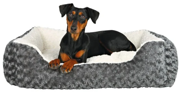 Trixie Kaline Dog Bed - 65 x 50 cm, Grey/Cream