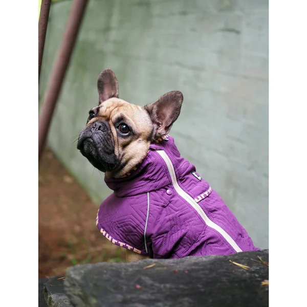 Hurtta Casual Quilted Jacket 18XL, Heather