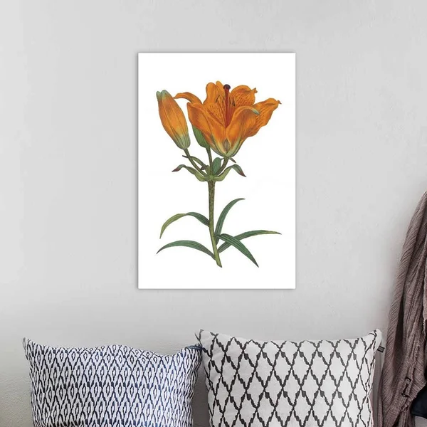 Antique Botanical XX on White - Canvas Wall Art, 16x24, Great Big Canvas