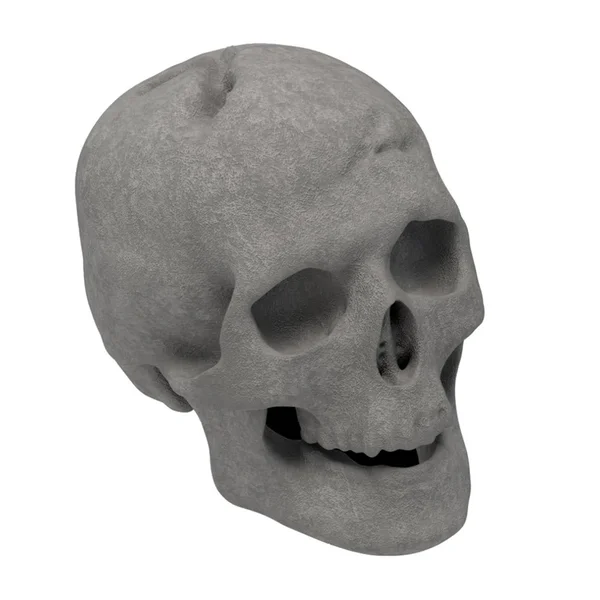 Regal Flame Human Skull Ceramic Wood Large GAS Fireplace Logs Logs for All Types