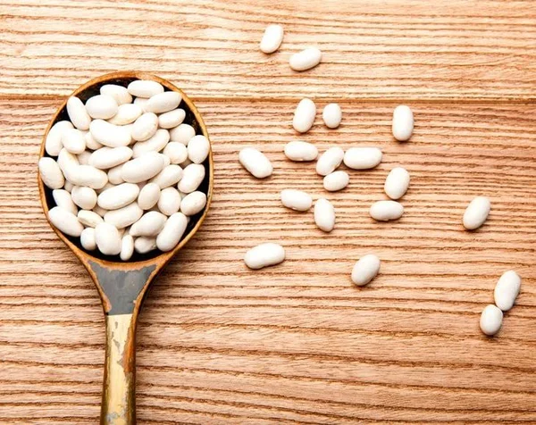 Organic Cannellini Beans by Food to Live (Raw, Dried, Non-GMO, White Kidney Beans in Bulk, Product of The USA) 15 Pounds
