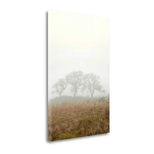 24x22 x 16x22 Oak Tree - 17 by Alan Blaustein Fine Art Giclee Print