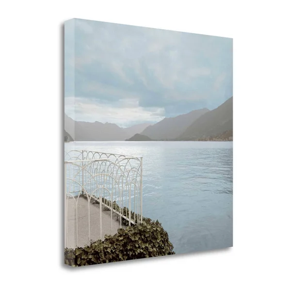 Tangletown Fine Art Lake Vista - 15 by Alan Blaustein