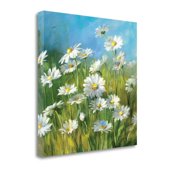 Tangletown Fine Art Summer Field II by Danhui Nai, Fine Art Giclee Print on Gallery Wrap Canvas