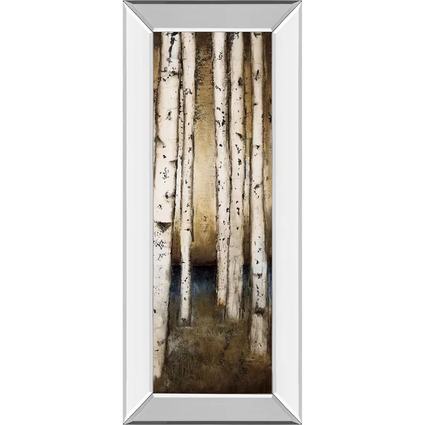 Classy Art 1663MF 18 x 42 in. Birch Landing III by St Germain Mirror Framed Print Wall Art