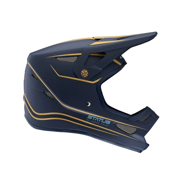 100% Status Helmet Ltd - L