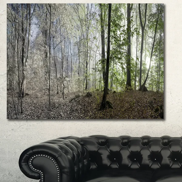 Designart &Green Morning in Forest Panorama& Landscape Large Canvas Art Print - Green - 40 in. Wide x 30 in. High