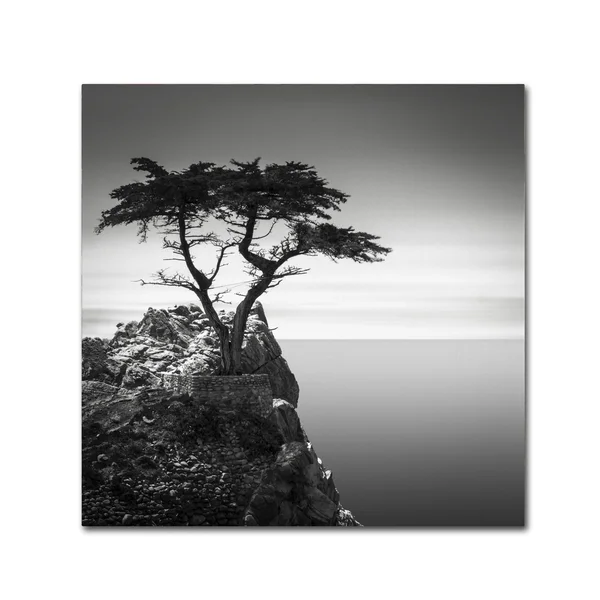 Trademark Global Dave MacVicar 'The Lone Cypress' Canvas Art