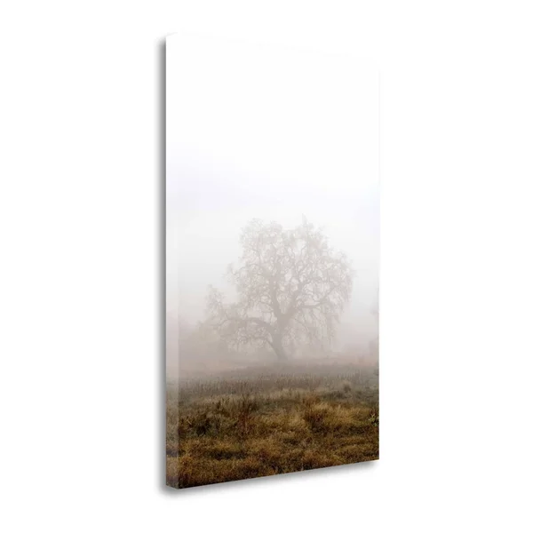 Oak Tree - 29 by Alan Blaustein Fine Art Giclee Print on Gallery WR