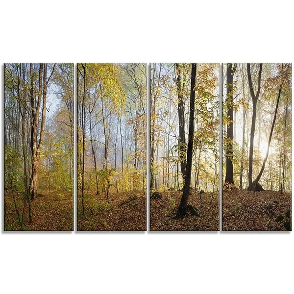 Designart &Green Autumn Forest in Morning& 4 Piece Wall Art on Wrapped Canvas Set