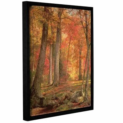Alcott Hill Path in The Forest Framed Photographic Print on Canvas Size: 32x22 H x 24x22 W