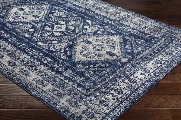 Andes 6&7x22 x 9& Updated Traditional Area Rug - Hauteloom