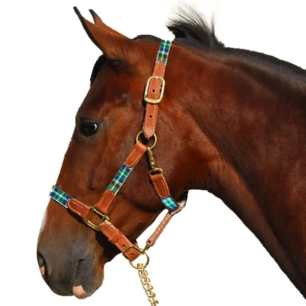 Highland 127010G Halter with Leather Accents - Green Horse