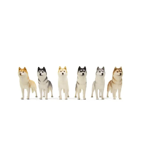 Petorama Handmade Husky Resin Statue 1-6 in Gray - 20170015001