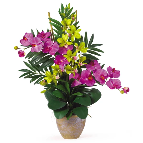 Nearly Natural Double Phal/Dendrobium Silk Flower Arrangement