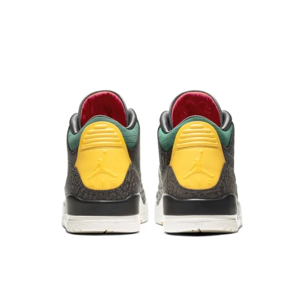 Air Jordan 3 Retro SE Animal Instinct