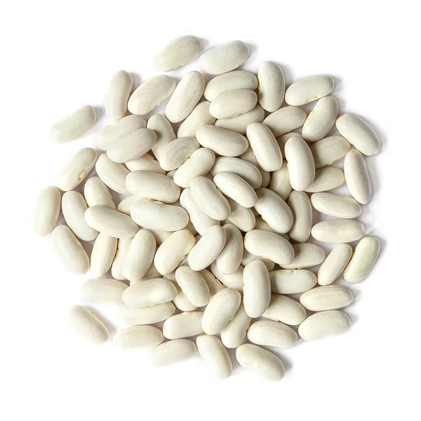 Organic Cannellini Beans by Food to Live (Raw, Dried, Non-GMO, White Kidney Beans in Bulk, Product of The USA) 15 Pounds