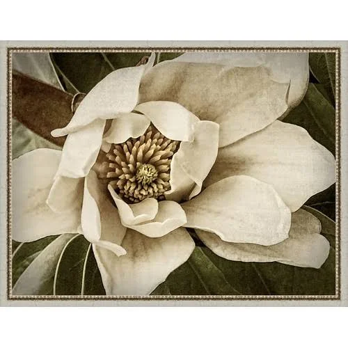 Ashton Wall D Cor Llc in Bloom 'Classic Magnolia I' Framed Painting Print