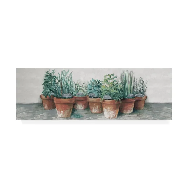 Trademark Art Carol Rowan 'Pots of Herbs II Cottage v2' Canvas Wall Art