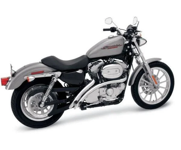 Bassani Radial Sweepers Exhaust