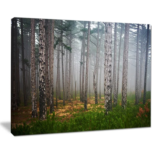 Designart 'Dense Misty Forest' 4 Piece Photographic Print on Wrapped Canvas Set