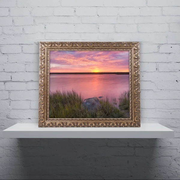 Trademark Art Windy Marsh' Gold Ornate Framed Art