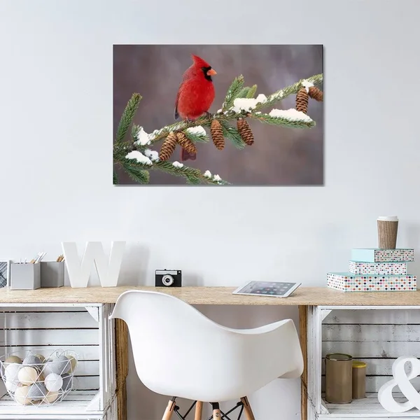 Steve Gettle Canvas Prints - Northern Cardinal Male, South Lyon, Michigan ( Animal Art > Birds > Cardinals art)