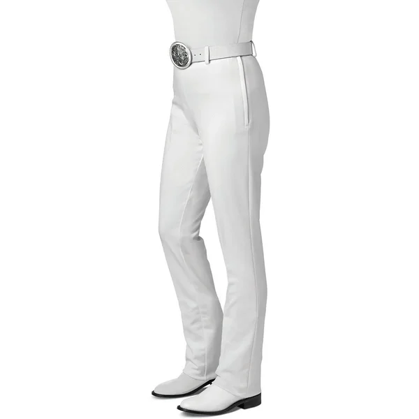 Hobby Horse Inc Women's Ezee Rider Stretch Show Pants in Sterling Size 38