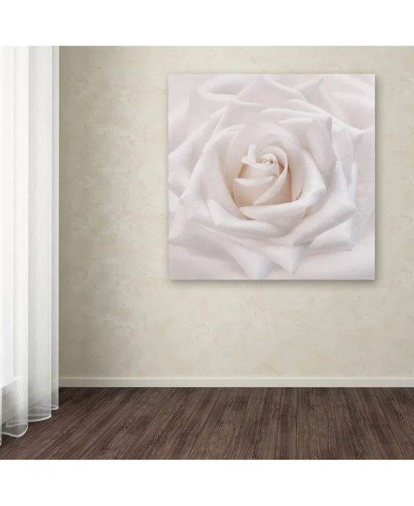 Trademark Fine Art Ali1785-C1818Gg Cora Niele &Soft White Rose& Canvas