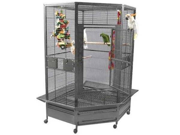 Au0026E Cage Cc4242 Black Extra-Large Corner Cage, 61" x 43