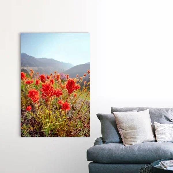 Scarlet Paintbrush, Mount Rainier National Park, Washington, Canvas Wall Art, 40x60, Great Big Canvas