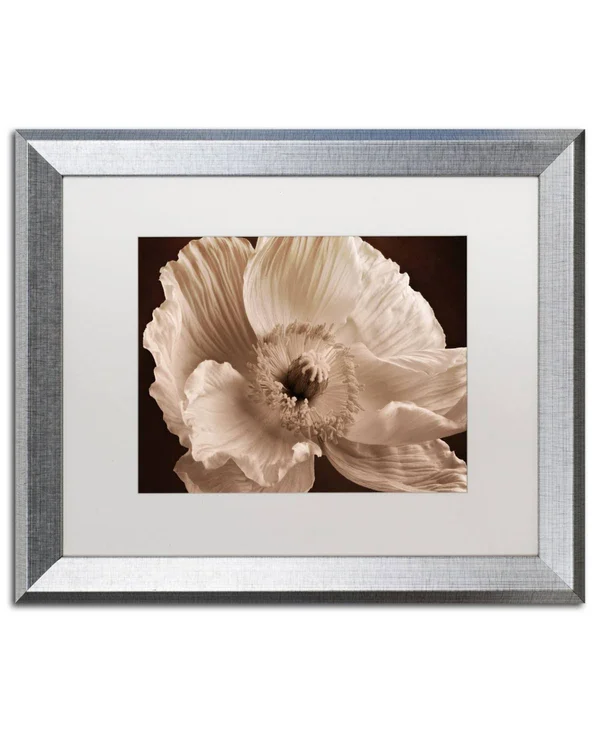 Trademark Art Sepia Poppy I by Cora Niele Framed Photographic Print Size: 16x22 H x 20x22 W x 0.5x22 D - Frame Color: Silver