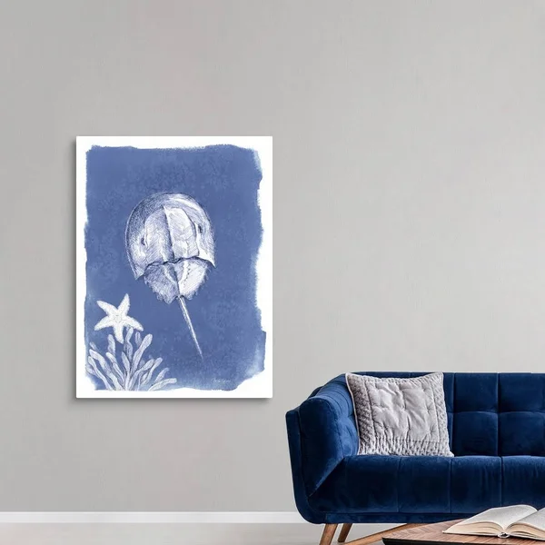 Coastal Sea Life VI, Canvas Wall Art, 36x48, Great Big Canvas