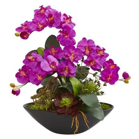 Bloomsbury Market Artificial Phalaenopsis Succulent Garden Orchid and Mixed Floral Arrangement in Vase, Purple