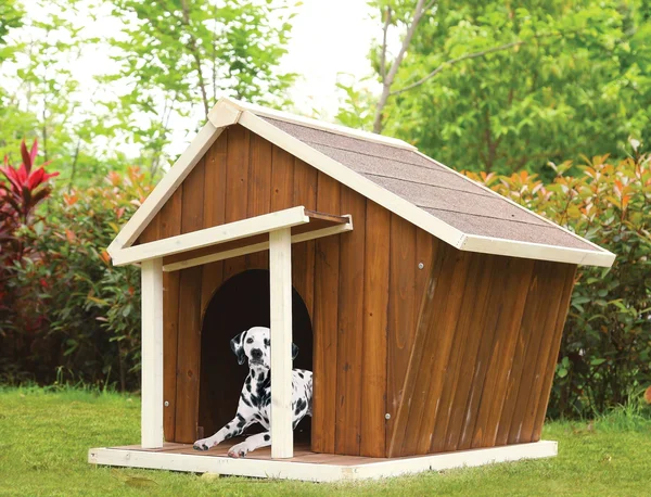 Acme Rylee Pet House - Cream & Oak