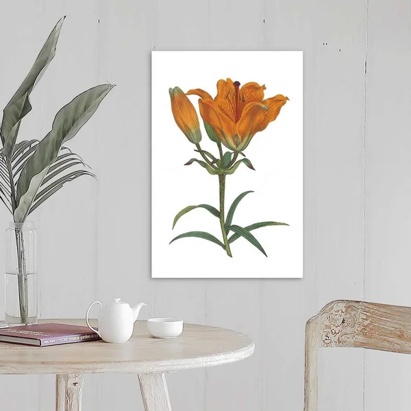 Antique Botanical XX on White - Canvas Wall Art, 16x24, Great Big Canvas