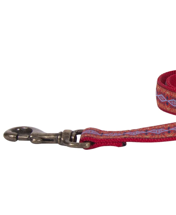 Pendleton Pet Diamond River Leash, Turquoise