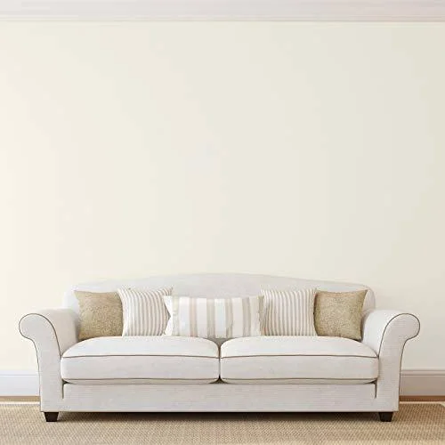 Montage Signature Interior/Exterior Eco-Friendly Paint - Snow White - Low Sheen, 5 Gallon