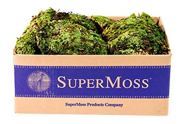 Supermoss (21881) Royal Pool Moss Preserved - Fresh Green, 3lbs