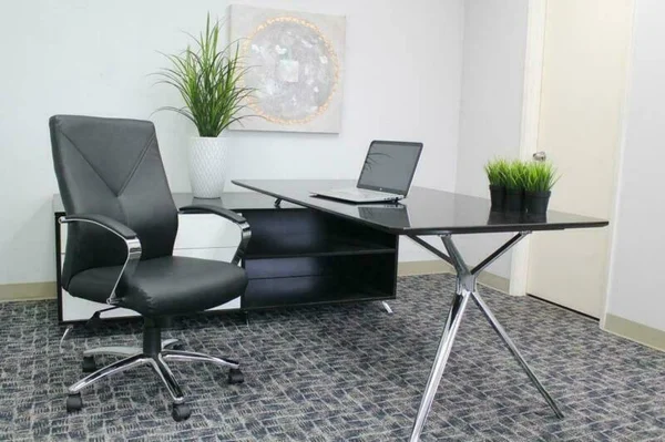 Boss Office Home Modern Executive Leather Desk Chair with Chrome Finish, Multi