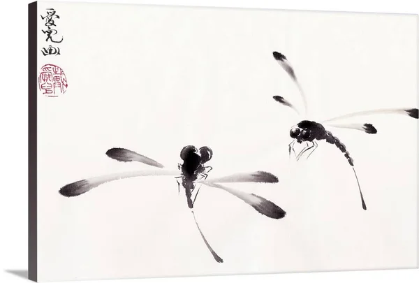 Dance of The Dragonflies, Canvas Wall Art, 60x40, Great Big Canvas