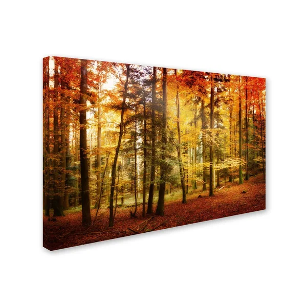 Trademark Fine Art Philippe Sainte-Laudy &Brilliant Fall Color& Canvas Art