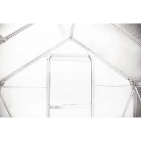 Ogrow 6& x 8& Clear Aluminum Walk-In Lawn and Garden Greenhouse