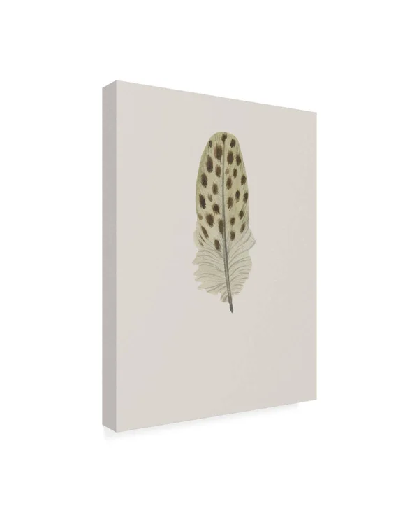 Trademark Fine Art Ic01713-C2432Gg Incado 'Feather 10' Canvas Art, 24X3