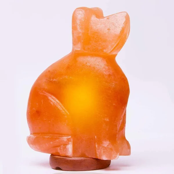 Dog Himalayan Salt Rock Lamp (6-8 lbs) for Healing, Hymilain Sea, Pink Crystal
