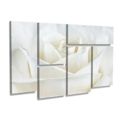 'Pure White Rose' Photographic Print Multi-Piece Image on Wrapped Canvas East Urban Home
