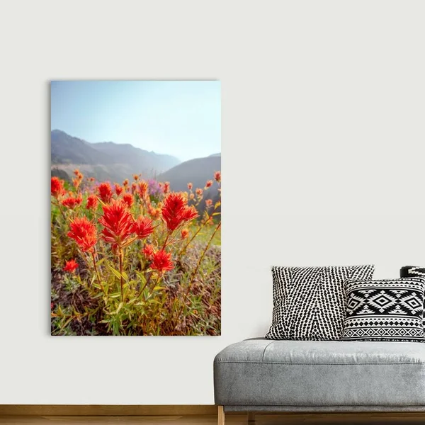 Scarlet Paintbrush, Mount Rainier National Park, Washington, Canvas Wall Art, 40x60, Great Big Canvas