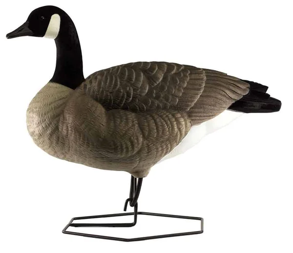 DOA Decoys Rogue Series Full-Body Canada Goose 6 Pack